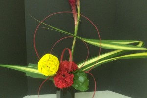 Red and Yellow Arrangement