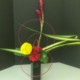 Red and Yellow Arrangement