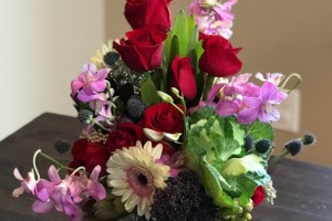 Pink and Red Flowers