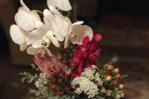 Magenta and White Flowers